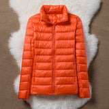 Women's Padded Jackets — ULLA TRANSITIONAL PADDED JACKET